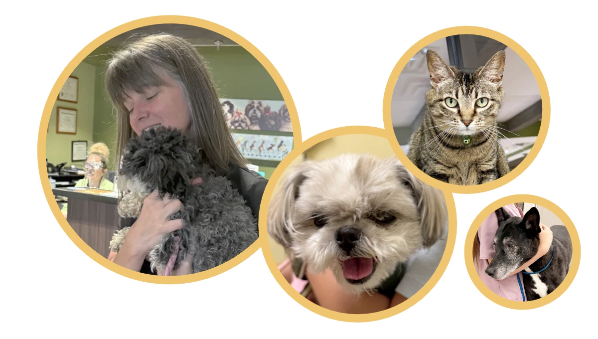 Arlington animal Clinic customers.